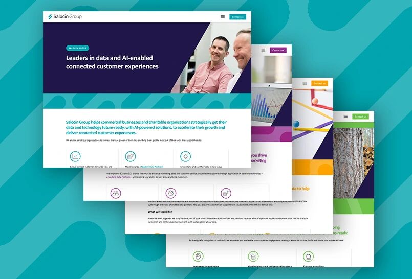 A unified website for Salocin Group